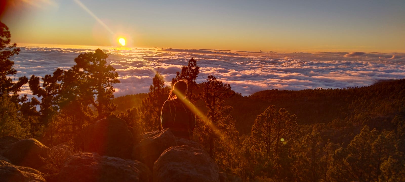 Teide Sunset & Stars Tour VIP